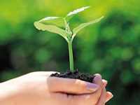 レイキヒーリング